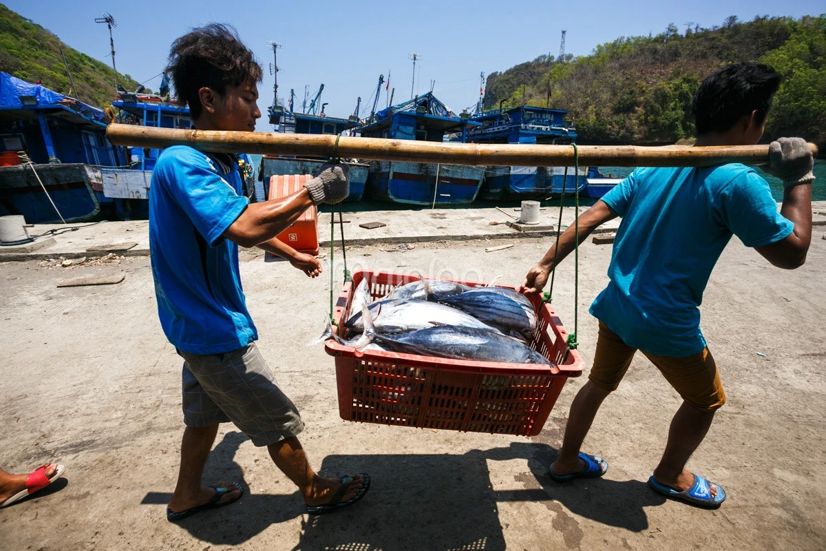 Two fishermen at Sadeng Beach carry a heavy basket of fresh tuna with a pole across the port.