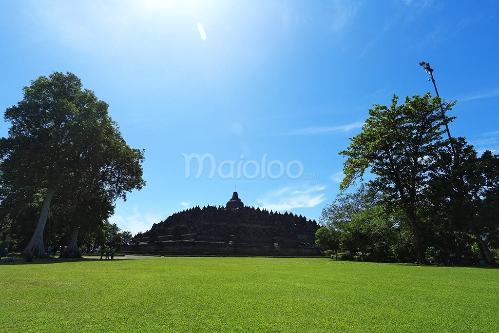 A wide view of Borobudur Temple with a green lawn and trees in the foreground.
