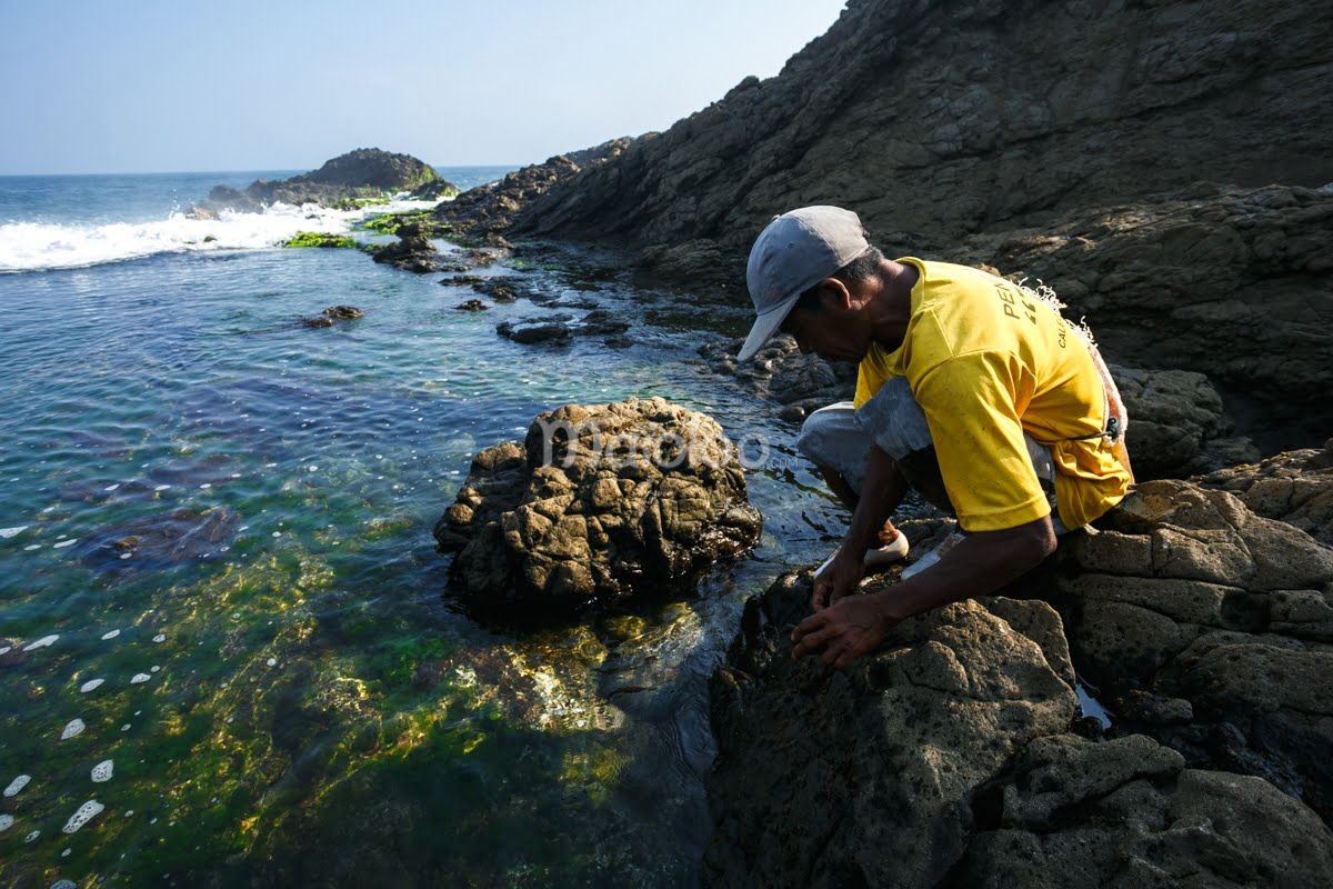 A local resident gathering seaweed from the rocks at Jungwok Beach.