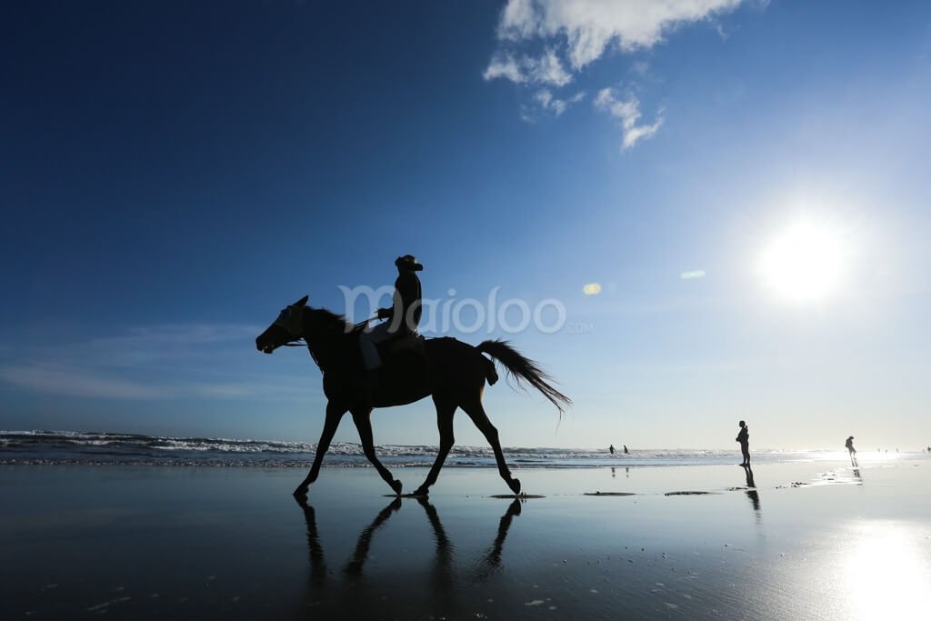 A person riding a horse on Parangtritis Beach with the sun shining brightly.