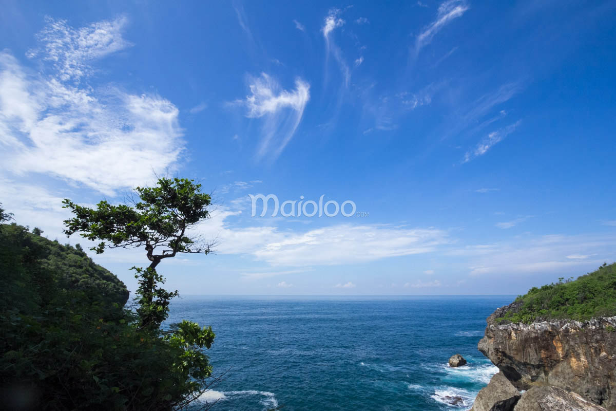 A panoramic view of Wohkudu Beach seen from atop a cliff, with a lone tree in the foreground and clear blue skies above.