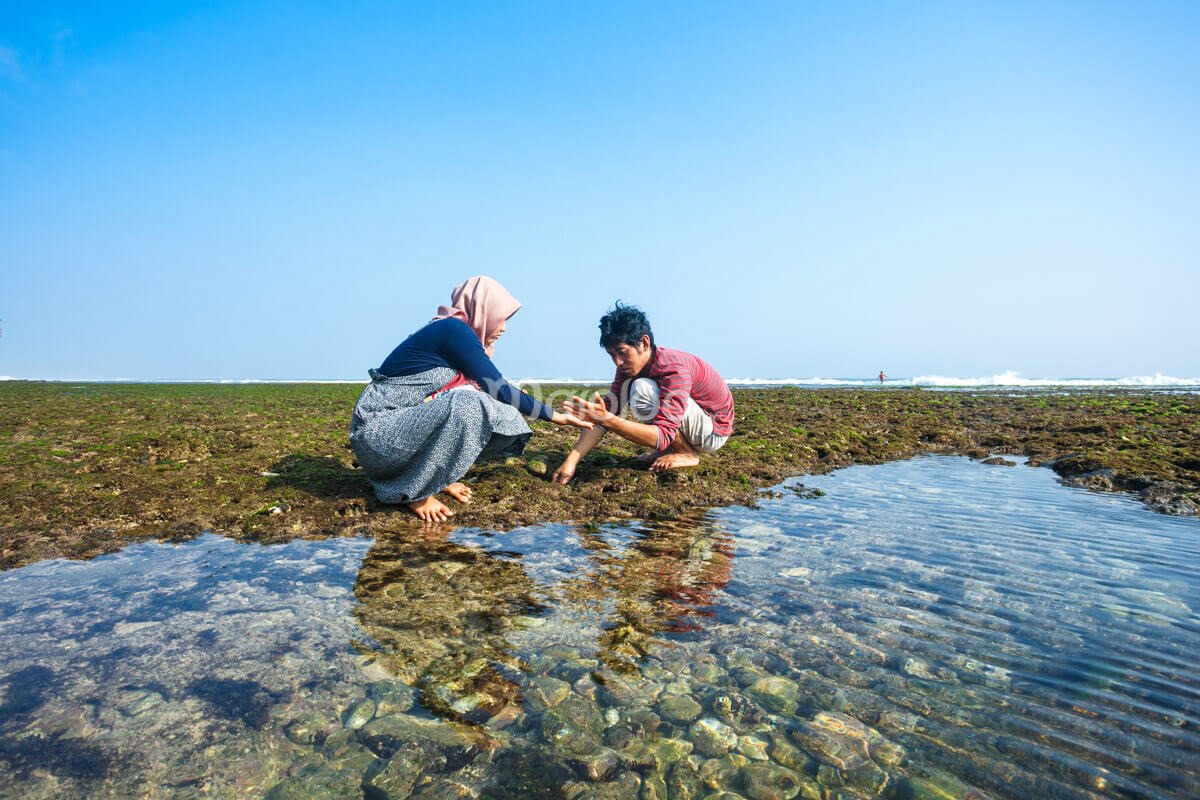 A woman and a man searching for shells on the shore of Pok Tunggal Beach during low tide.