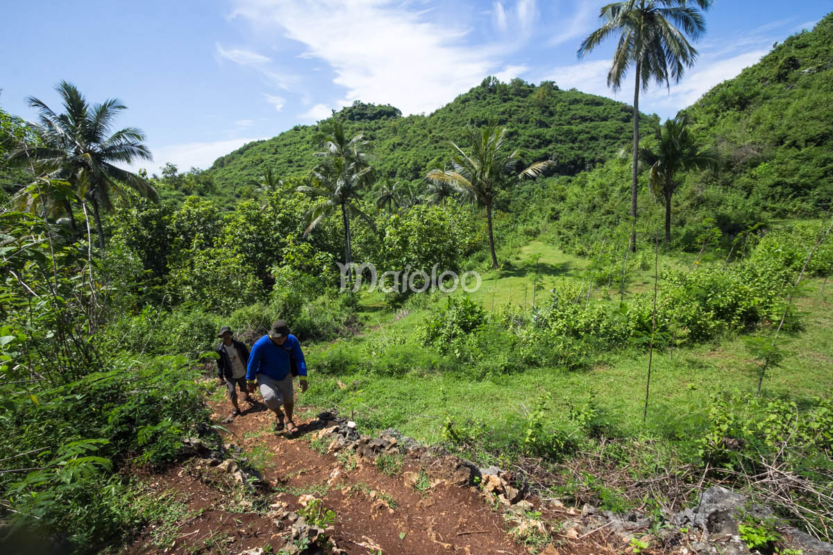 A visitor walking up a dirt path surrounded by lush greenery after visiting Wohkudu Beach.