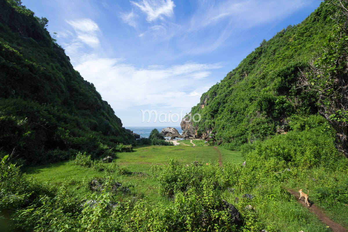 A serene view of Wohkudu Beach nestled between two lush green cliffs under a bright blue sky.