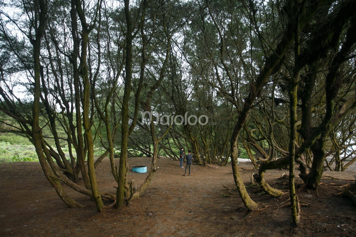 Visitors standing among the trees at Goa Cemara Beach.