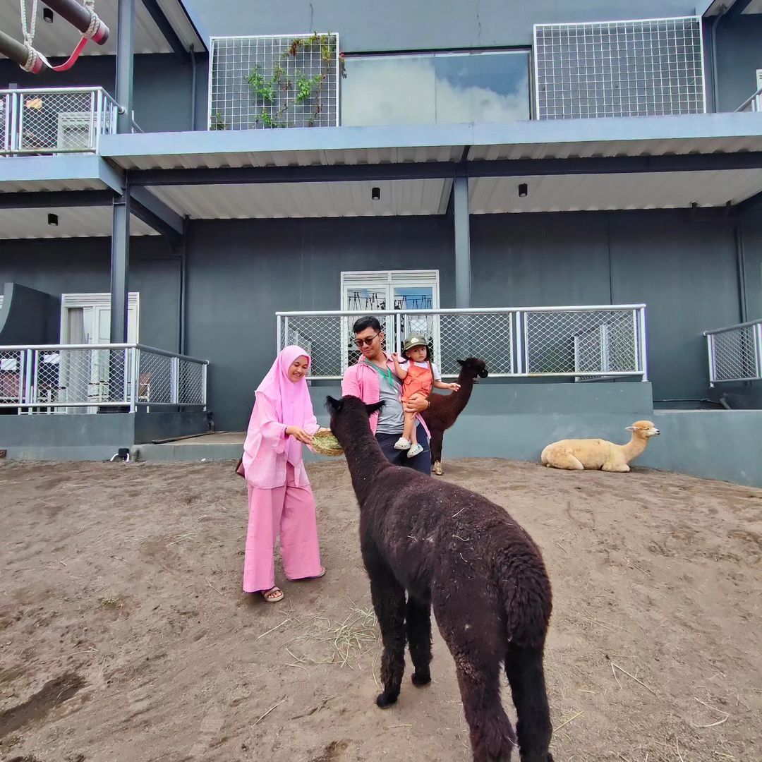 A family feeding alpacas at Suraloka Interactive Zoo.