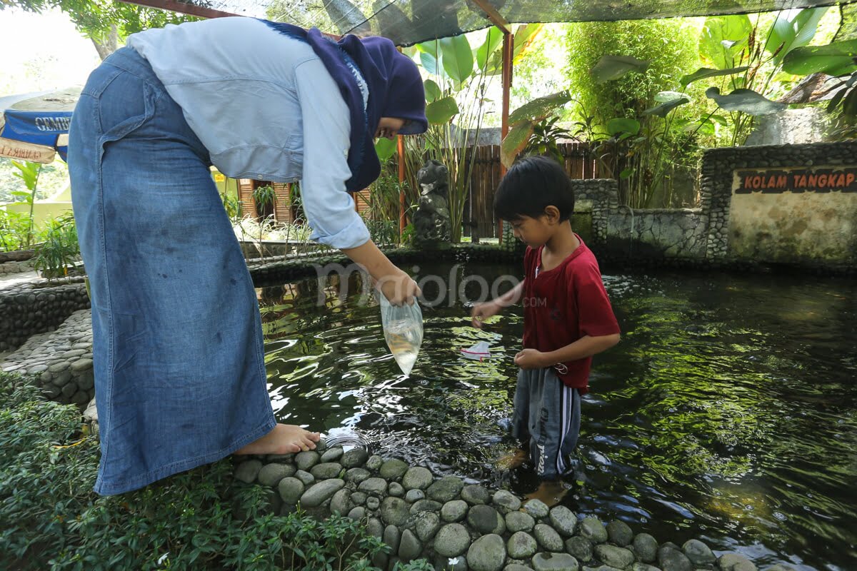 A child and an adult catching fish in the pond at Gembira Loka Zoo.