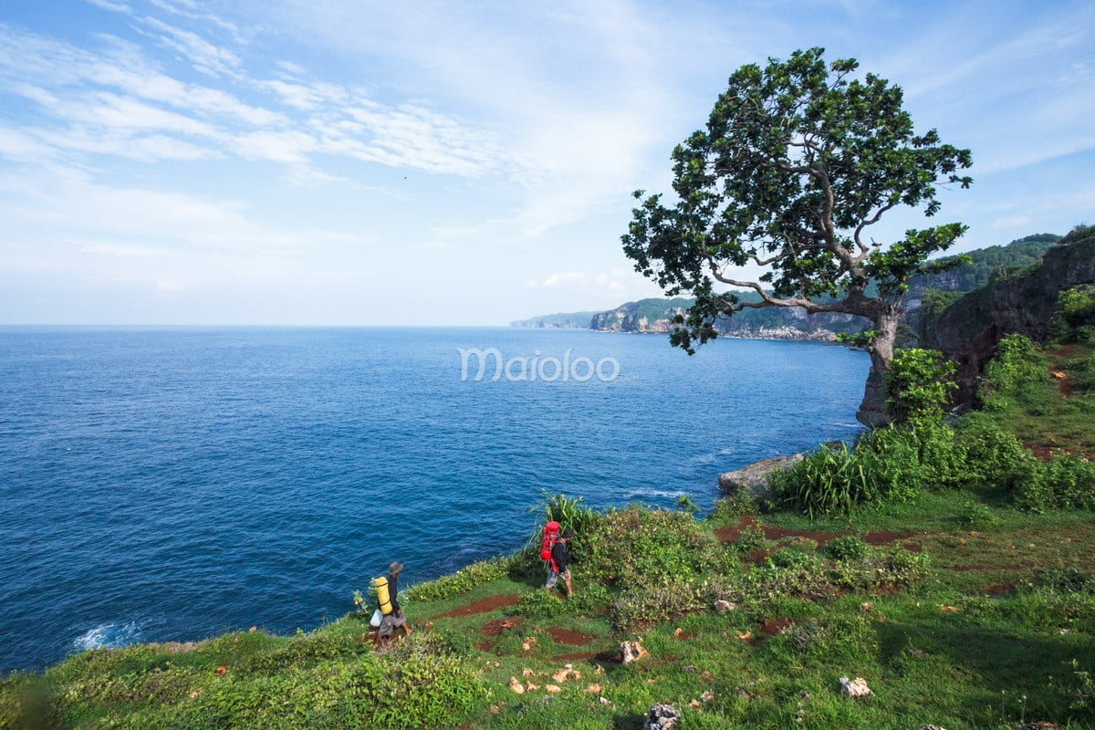 Two hikers walking along the cliff at Kesirat Beach with a tree and the ocean in the background.