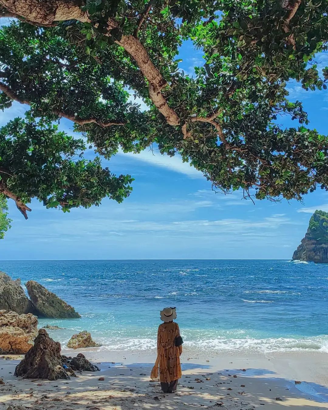 A person standing on the shore of Ngetun Beach under a large tree, looking out at the sea and distant cliffs.