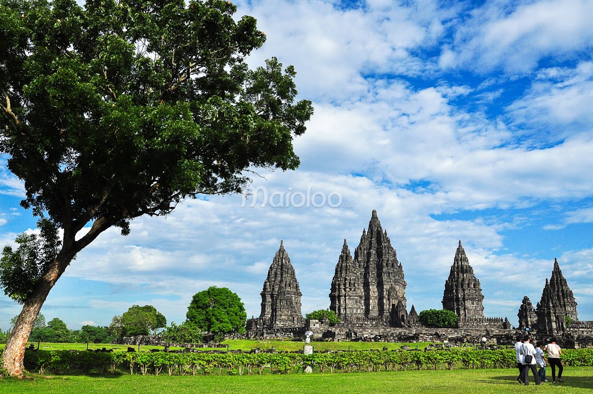 Prambanan Temple complex with tree in foreground and tourists walking.