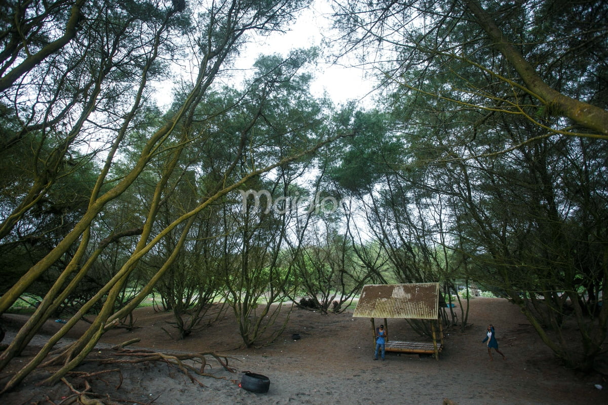 A small shelter among the trees at Goa Cemara Beach.