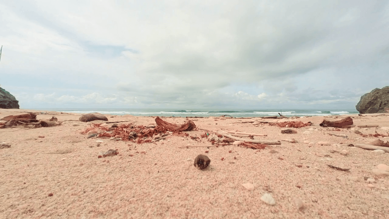 Sandy beach with scattered seashells and driftwood at Daud Beach.