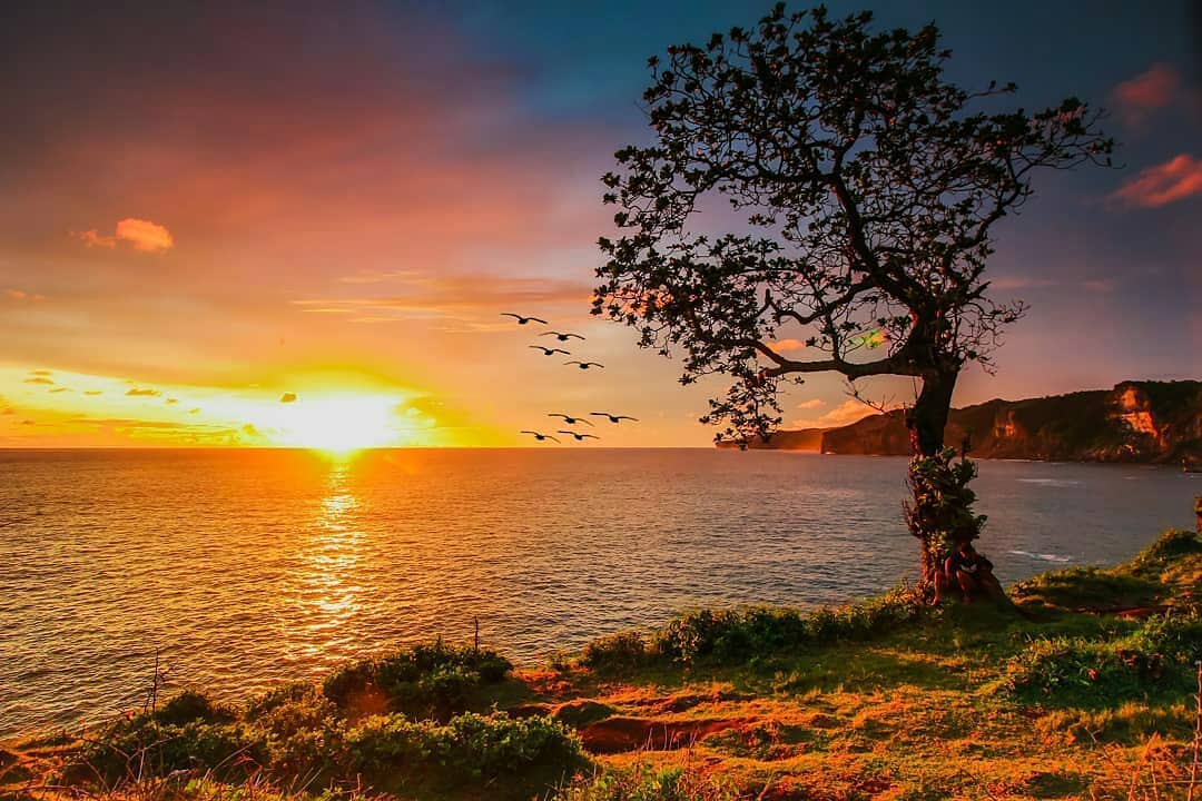 Sunset over the ocean at Kesirat Beach with a tree on the cliff.