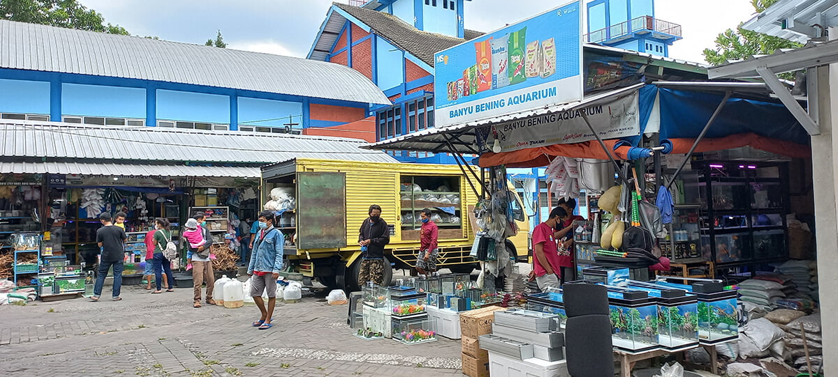 People shopping at an aquarium stall at PASTY market in Yogyakarta.