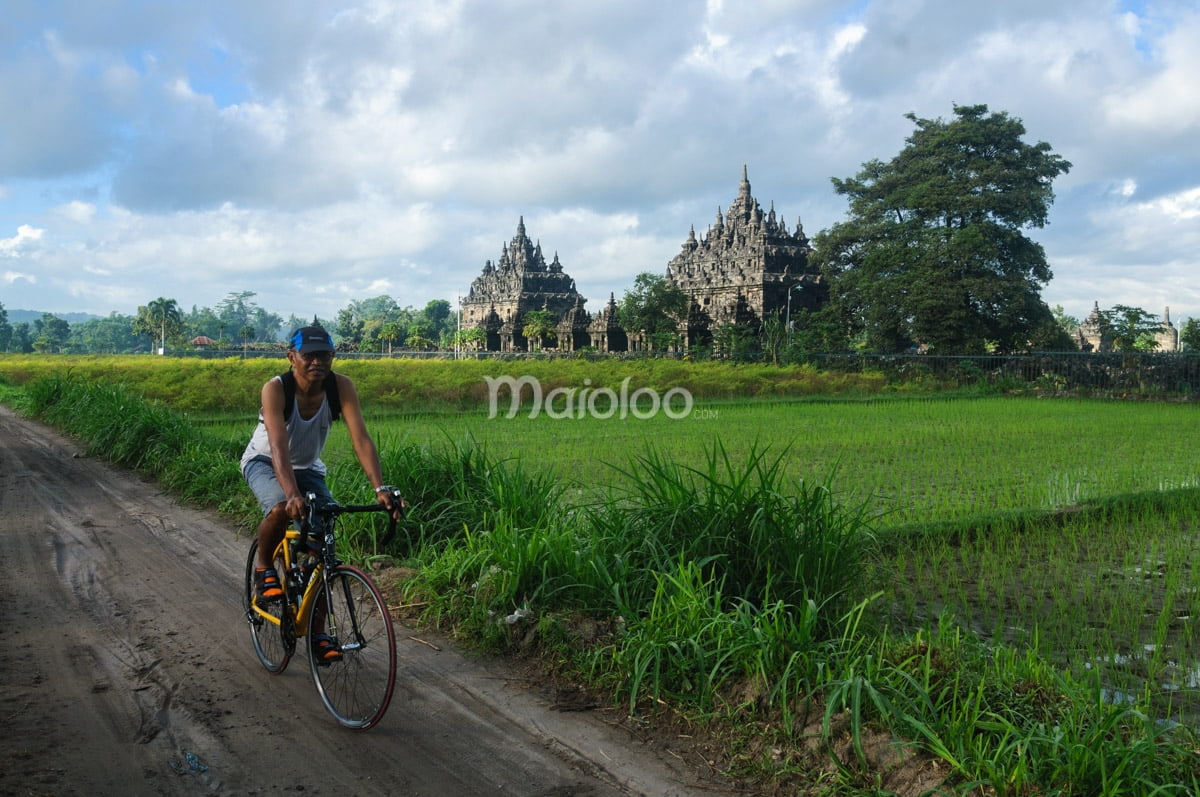 A cyclist rides along a dirt path with Plaosan Temple in the background.