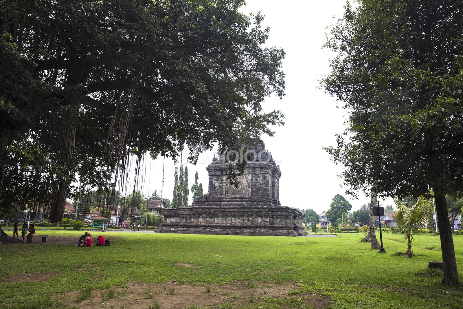 Visitors enjoying the morning at Mendut Temple with trees and green grass.