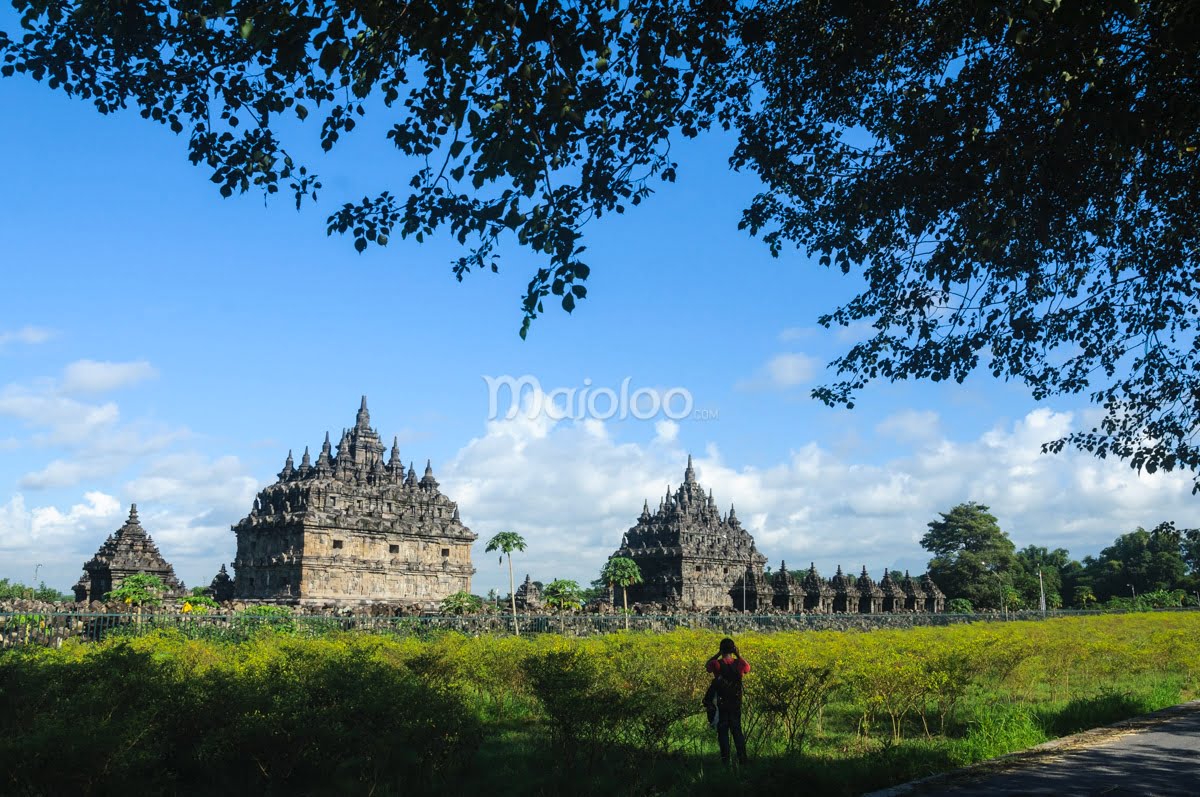 A visitor takes photos of Plaosan Temple in the morning with trees framing the scene.