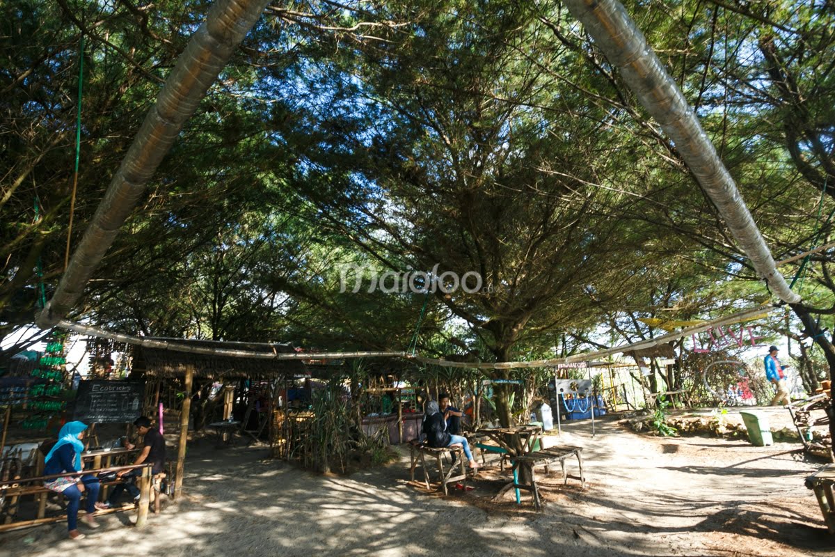 Shady area with people sitting under tall trees at Gardu Action.