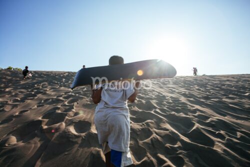 A child carrying a sandboard walks up a sandy hill under a clear blue sky.