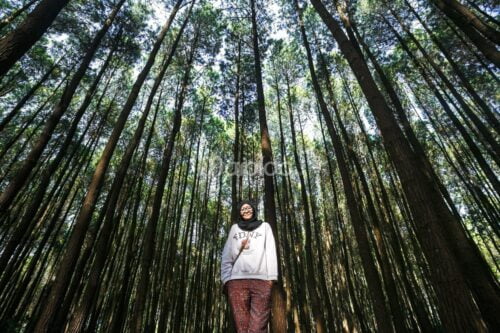 A girl stands smiling among tall pine trees in Mangunan Pine Forest.