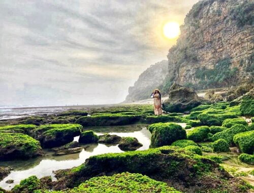 A person stands on a rocky shore covered with green seaweed at Seruni Beach with a cliff and the sun in the background.