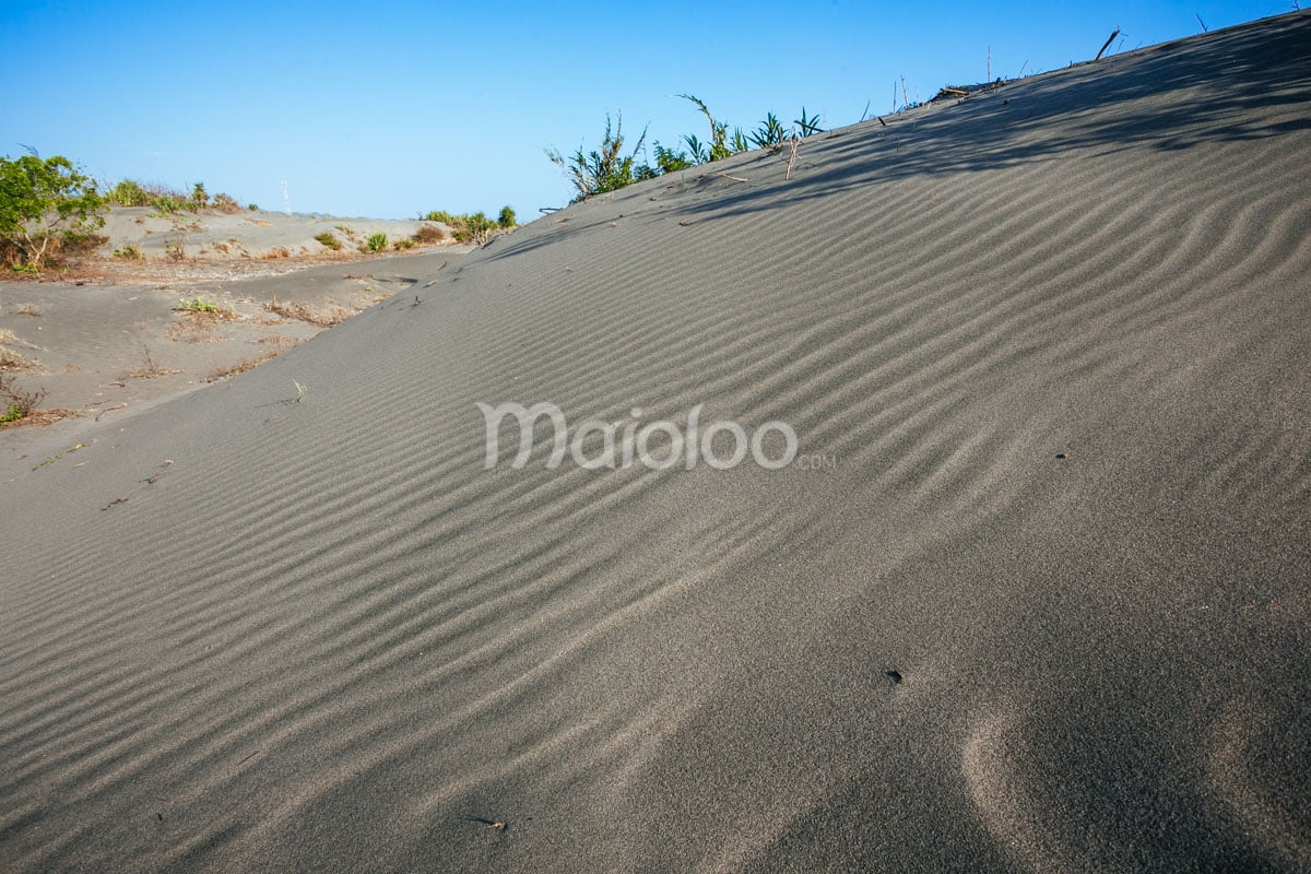 Smooth, rippled sand dunes under a clear blue sky with some vegetation in the background.