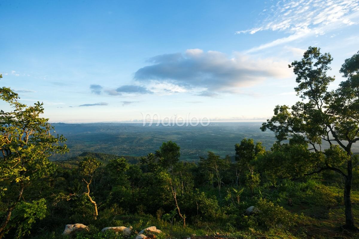 A scenic view of green hills and forests under a blue sky with clouds.