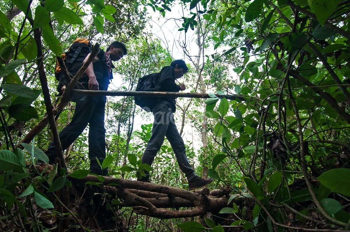 Two hikers crossing a makeshift bridge in the dense forest of Nglanggeran Mountain.