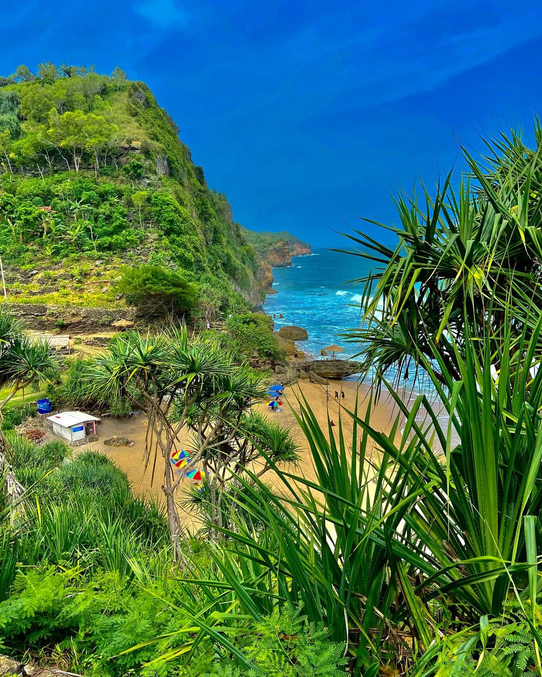 A lush green cliffside and sandy beach at Watunene Beach, seen from a viewpoint above.