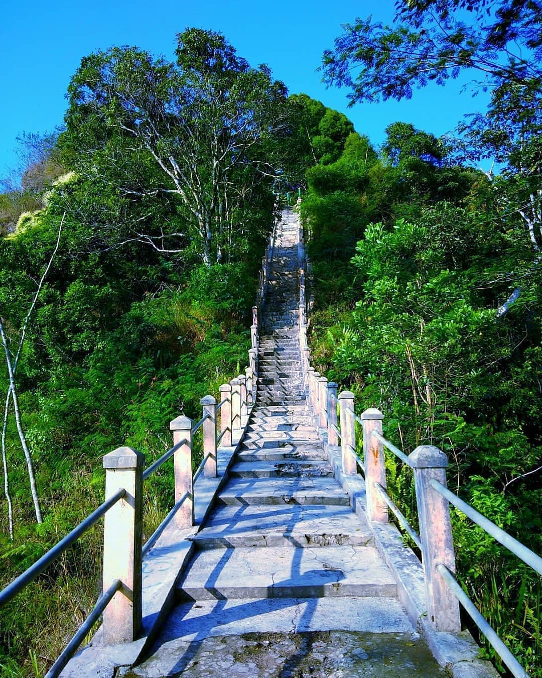 A stone staircase leading up to Suroloyo Peak in Yogyakarta, Indonesia, surrounded by lush green trees and vegetation.