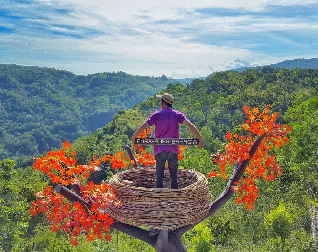 A man standing in a giant bird's nest, surrounded by vibrant orange leaves, overlooks the lush hills at Mojo Gumelem Hill in Yogyakarta, Indonesia. He holds a sign that reads "PURA-PURA BAHAGIA."