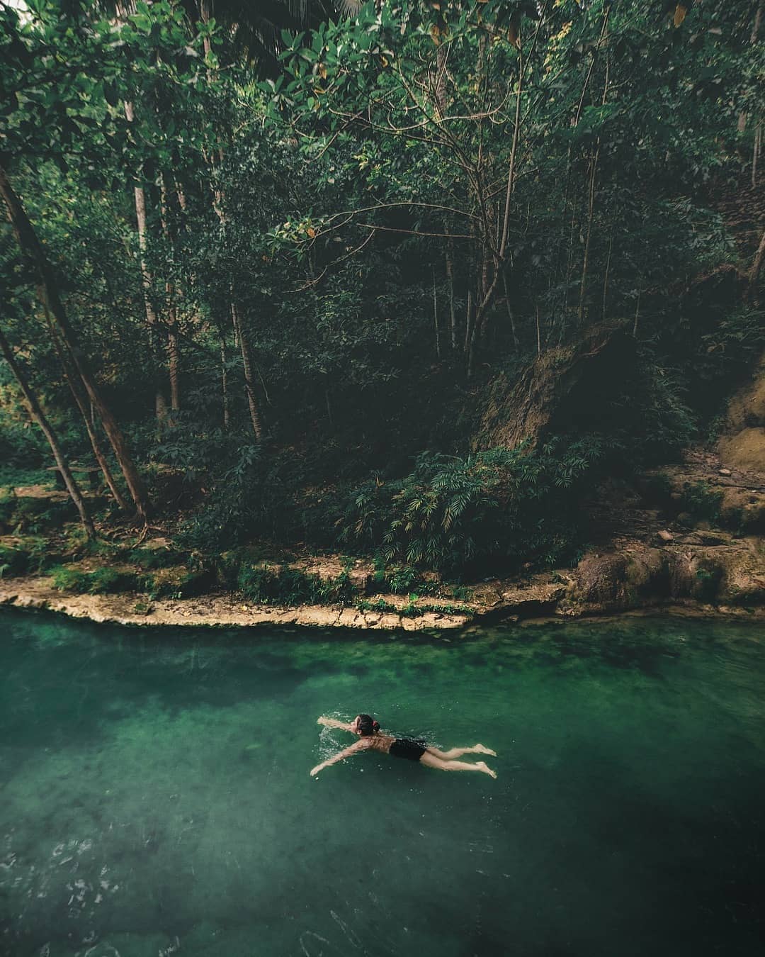 A person swimming in the clear, green water of Lepo Waterfall, surrounded by dense forest greenery in Yogyakarta.