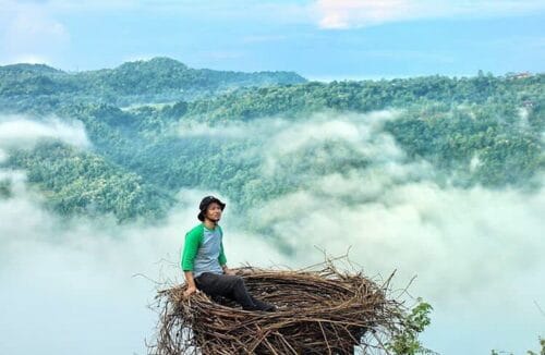 A man sits in a giant bird's nest overlooking the lush green hills and a sea of clouds at Mojo Gumelem Hill in Yogyakarta, Indonesia.