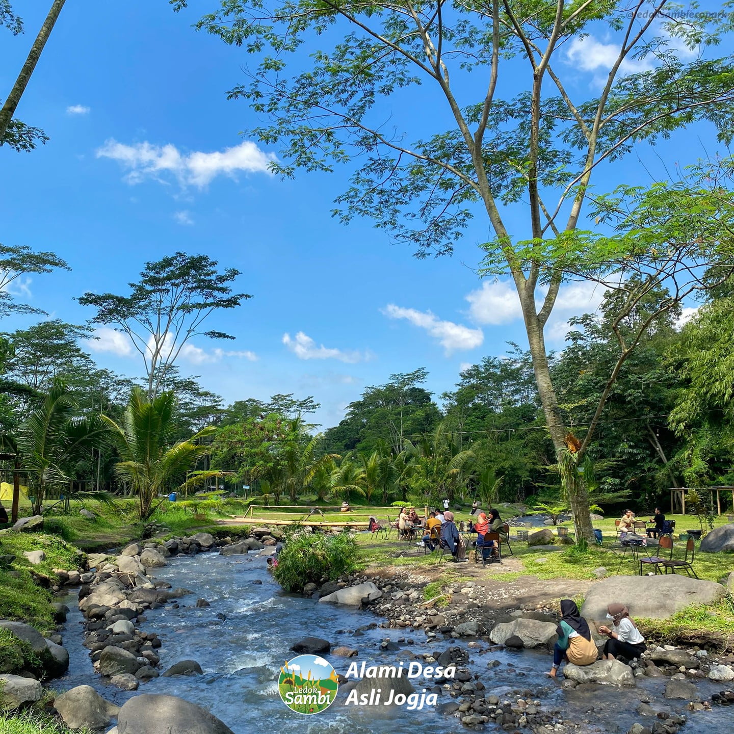 Families and friends enjoying a sunny day by the river in Ledok Sambi, surrounded by lush greenery and tall trees.