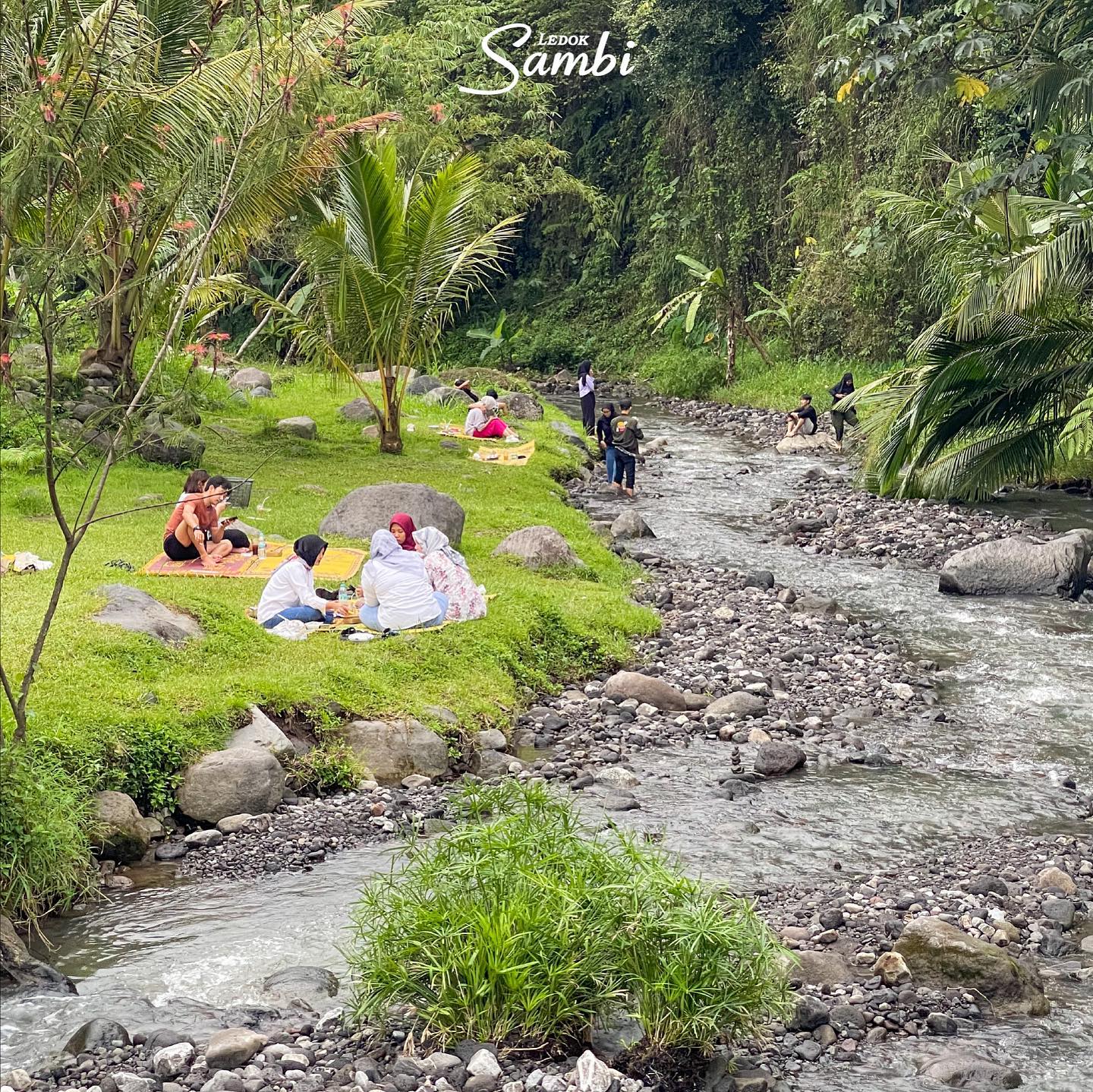 Families and friends having a picnic by a small river in Ledok Sambi, surrounded by green grass, trees, and rocks.