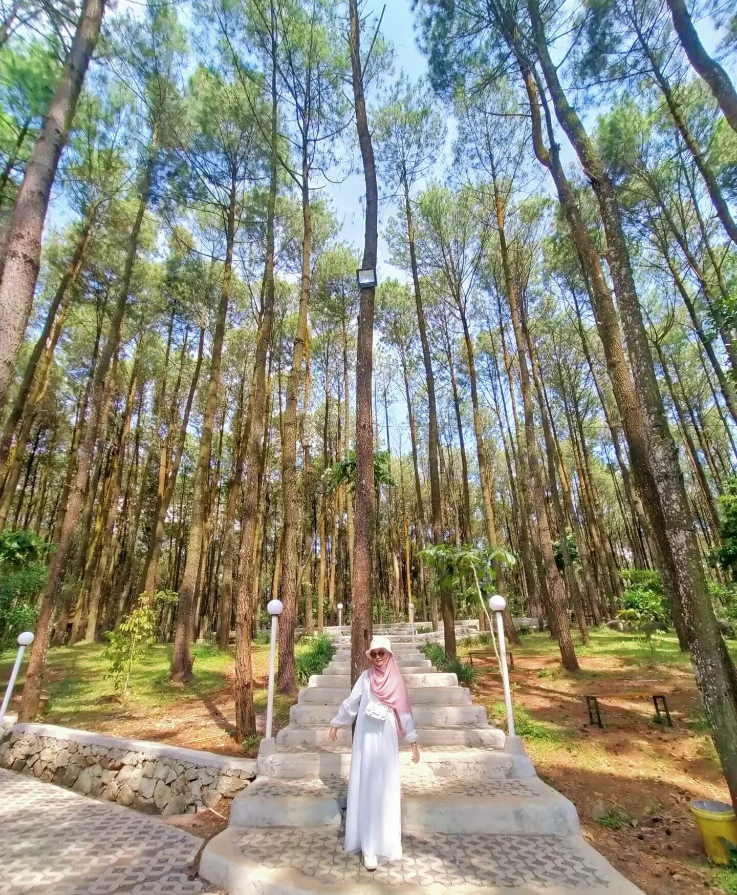 Woman standing on a staircase surrounded by tall pine trees at Hutan Pinus Pengger.