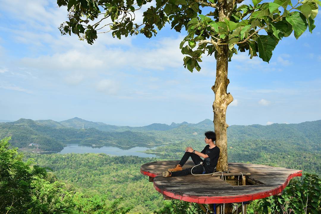 A person sitting on a wooden platform built around a tree, enjoying the panoramic view of lush green hills and the Sermo Reservoir at Kalibiru Natural Tourism in Yogyakarta, Indonesia.