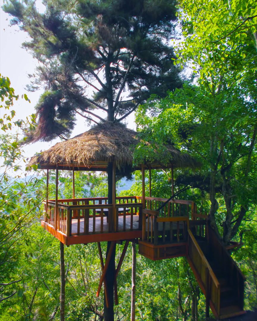 A rustic treehouse with a thatched roof nestled among lush green trees at Kalibiru Natural Tourism in Yogyakarta, Indonesia.