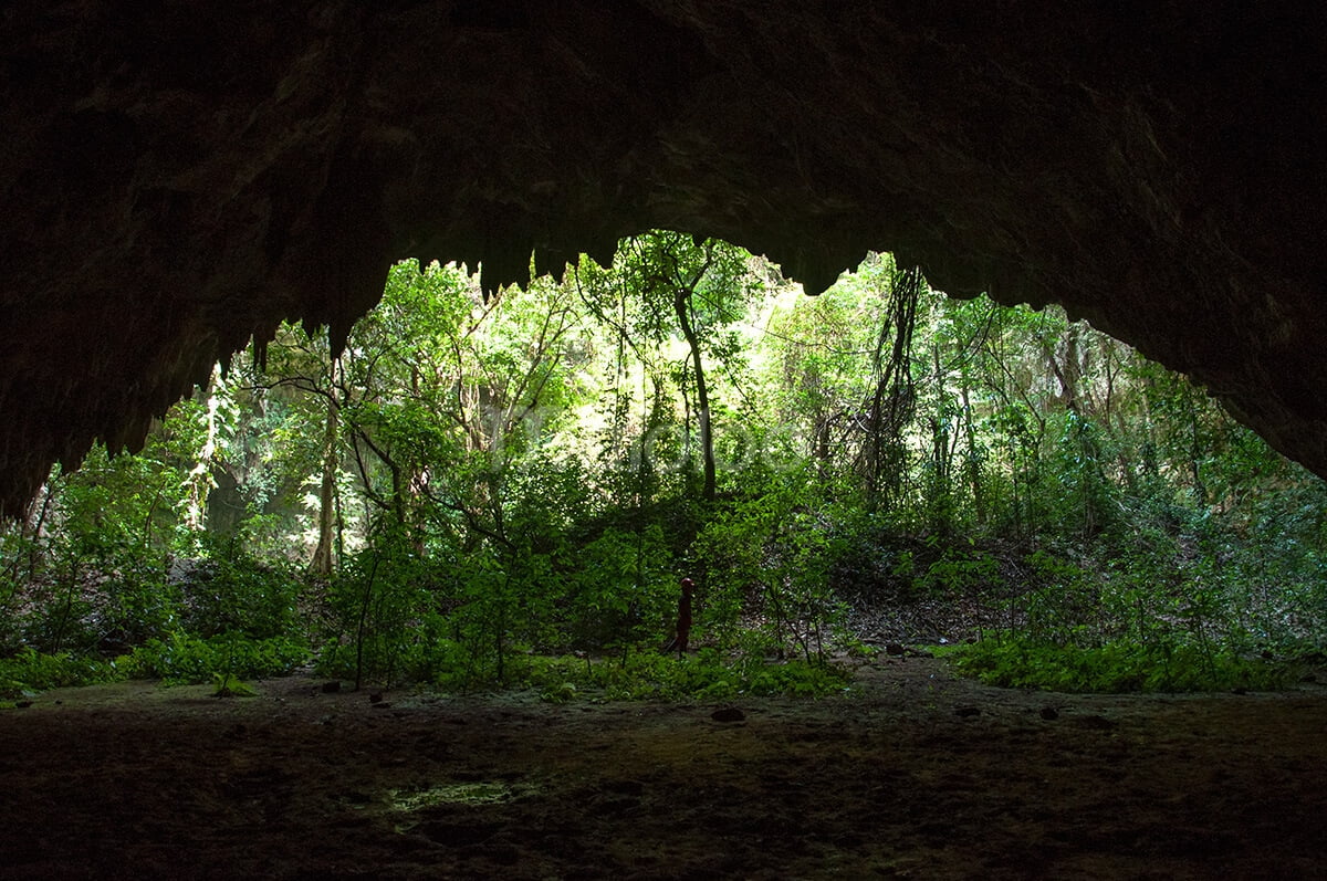 Entrance of a cave with lush greenery visible outside.