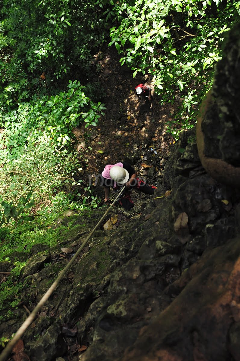 A person using a single rope technique to descend into Jomblang Cave, surrounded by lush green foliage.