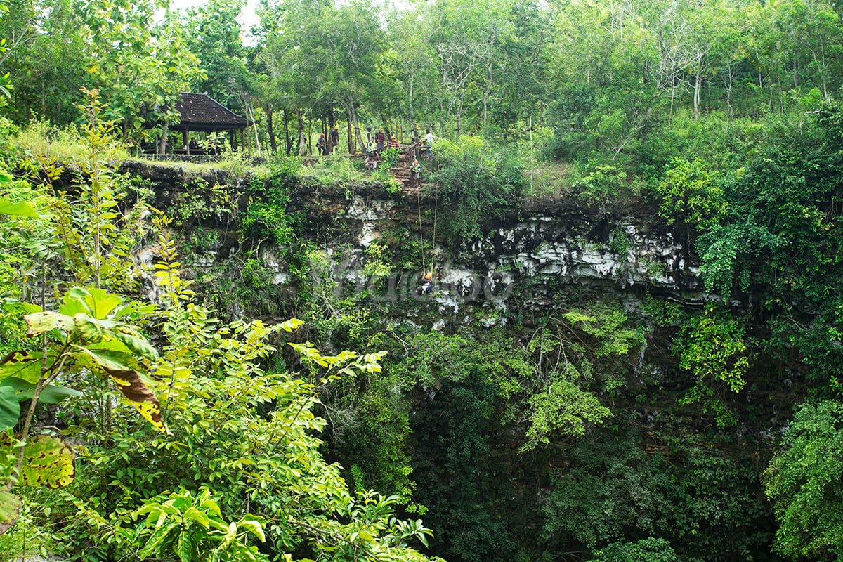 Visitors descending into Jomblang Cave using a pulley system surrounded by lush green forest.