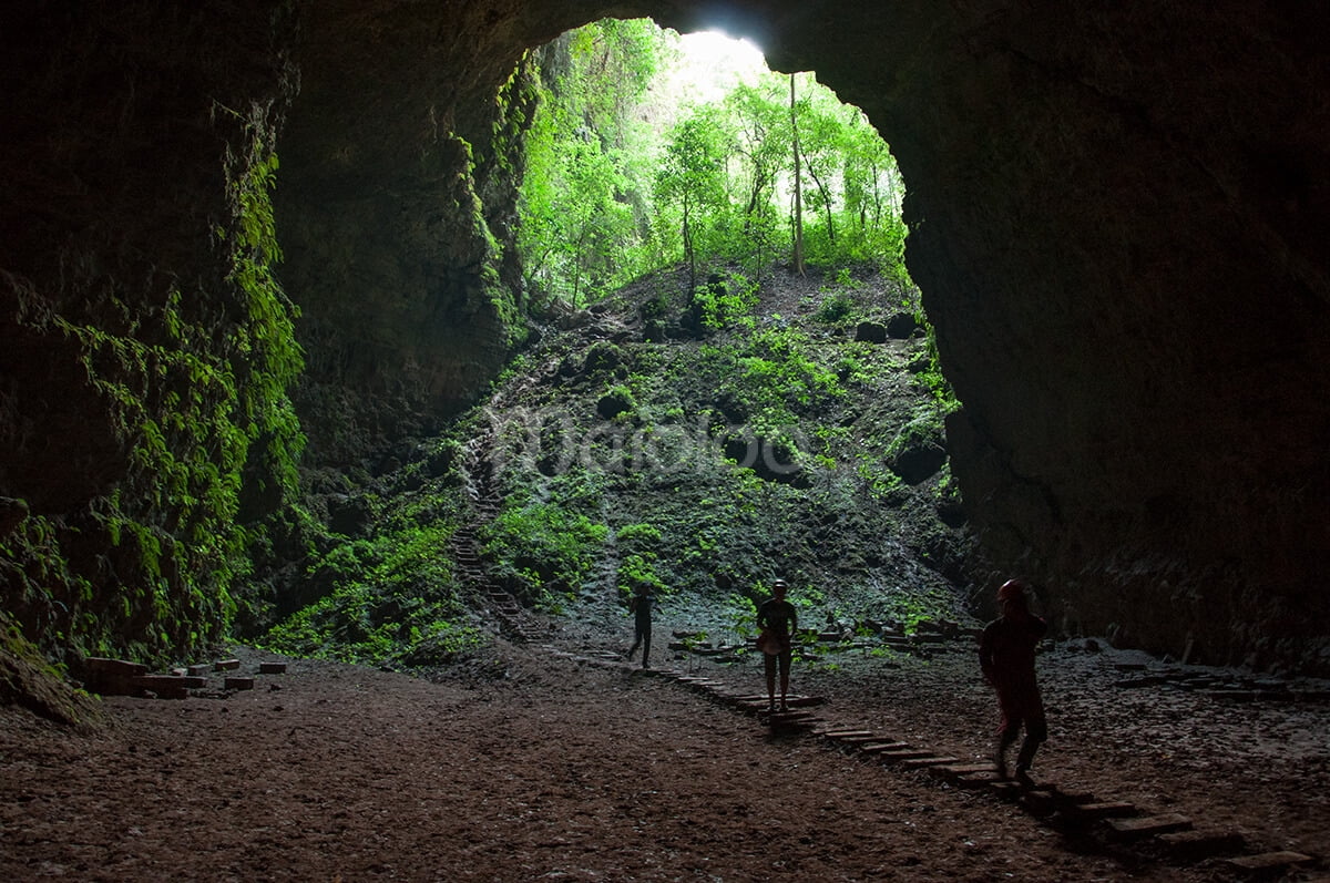 People entering Grubug Cave with steps leading up to the entrance surrounded by greenery.