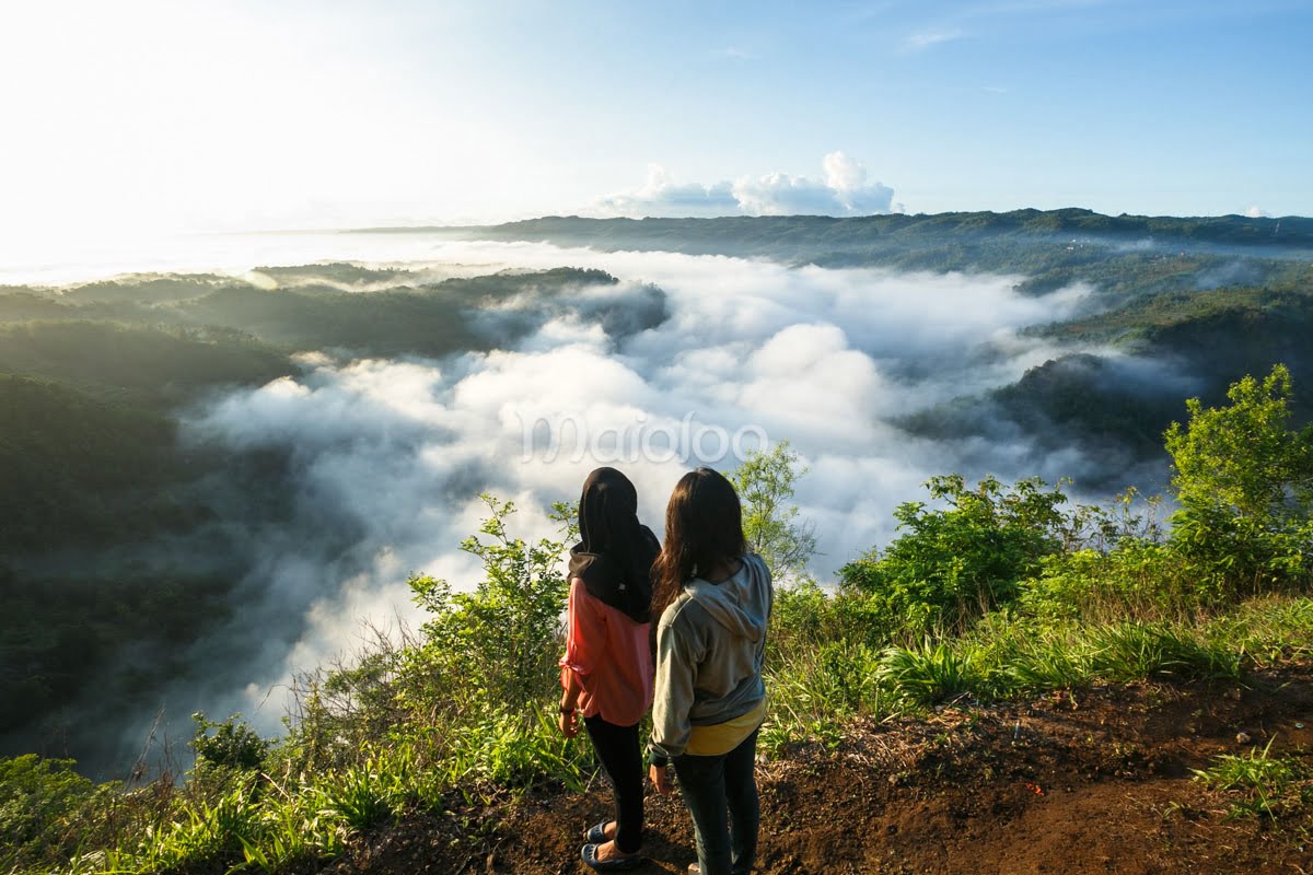 Two people stand on a hill at Mangunan Fruit Garden, looking at the sea of clouds covering the valley with lush greenery and hills in the background.