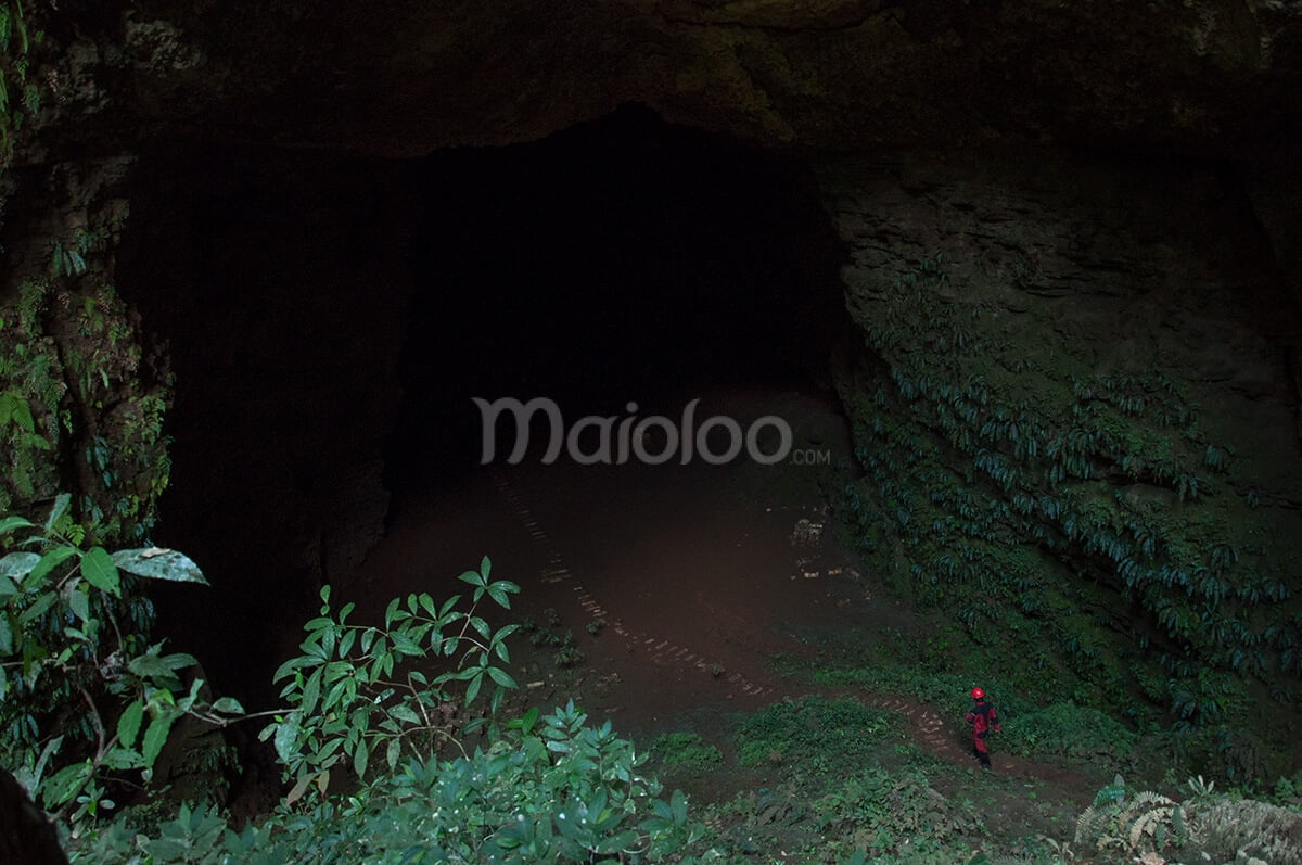 A person entering the mouth of Grubug Cave surrounded by lush greenery.