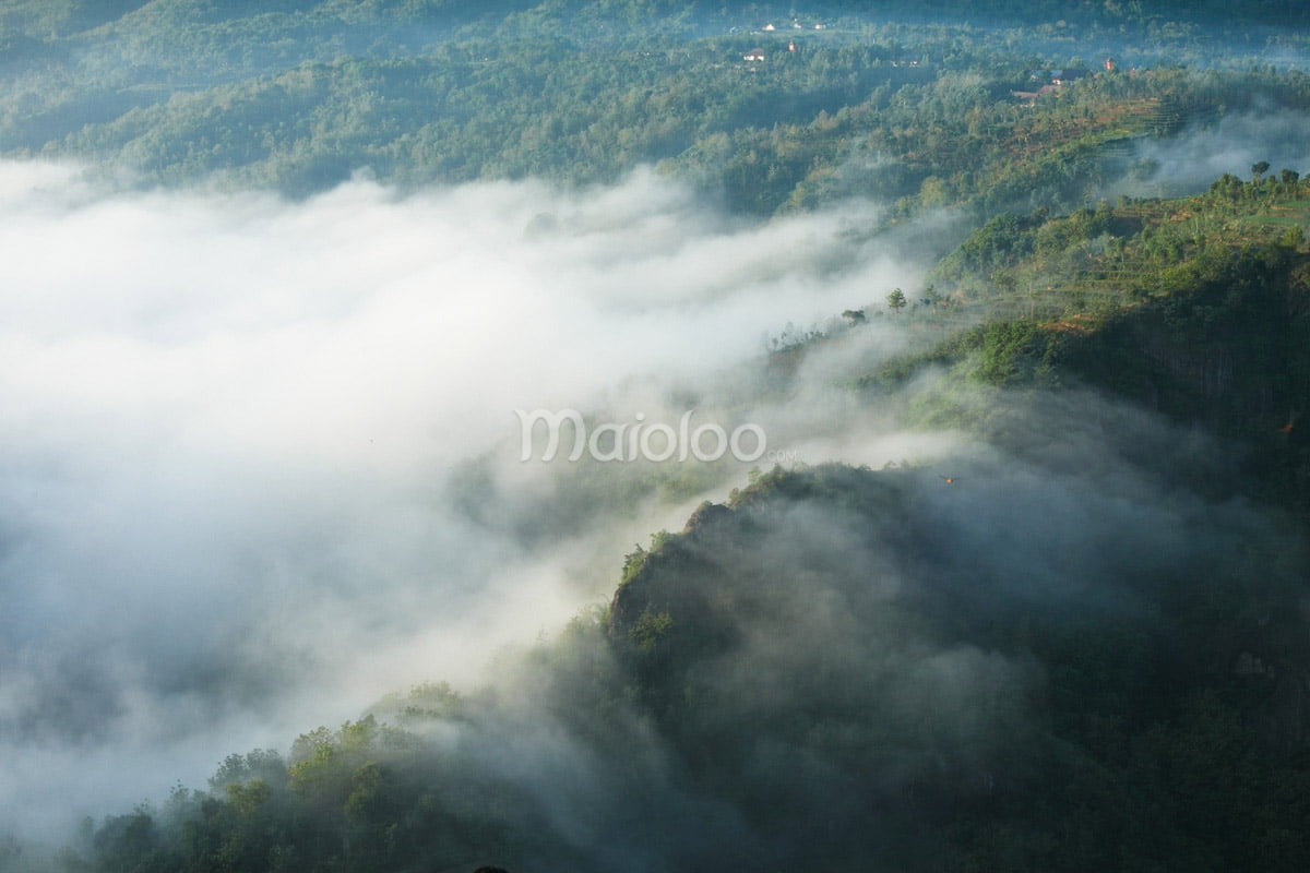 ush green hills at Mangunan Fruit Garden covered in a thick layer of clouds during sunrise.