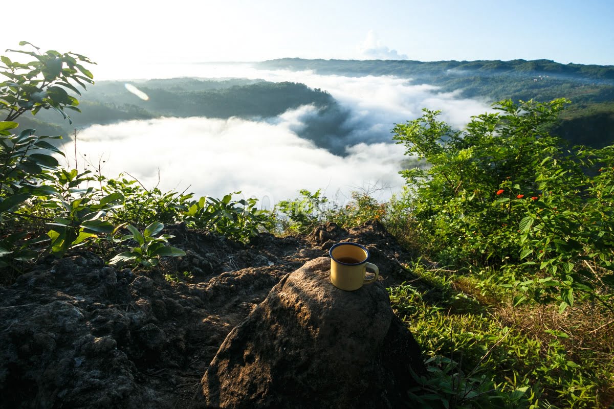 A cup of tea sits on a rock overlooking the sea of clouds and lush green hills at Mangunan Fruit Garden during sunrise.