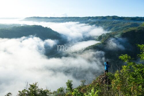 A person stands on a cliff at Mangunan Fruit Garden, taking a photo of the sea of clouds covering the valley below, with lush green hills in the background.