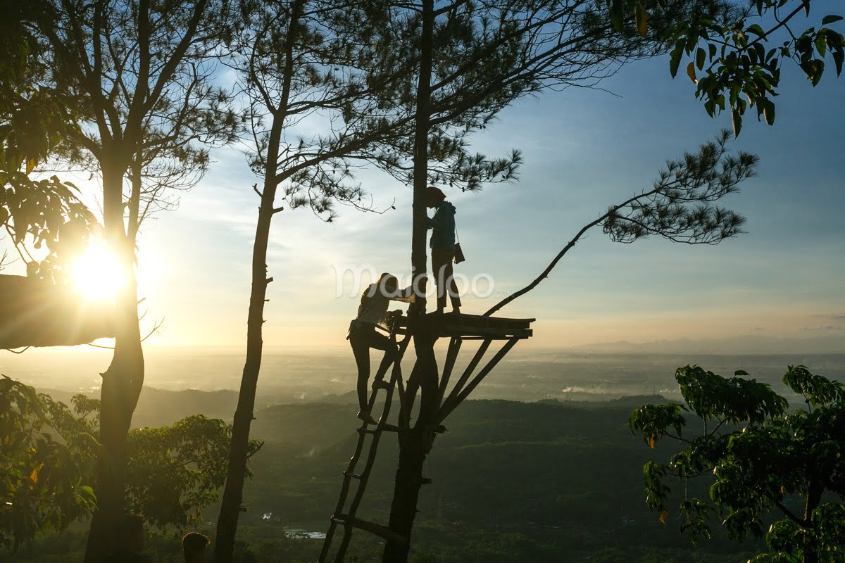 Visitors standing on and climbing a wooden viewing platform among the trees at Becici Peak during sunset.