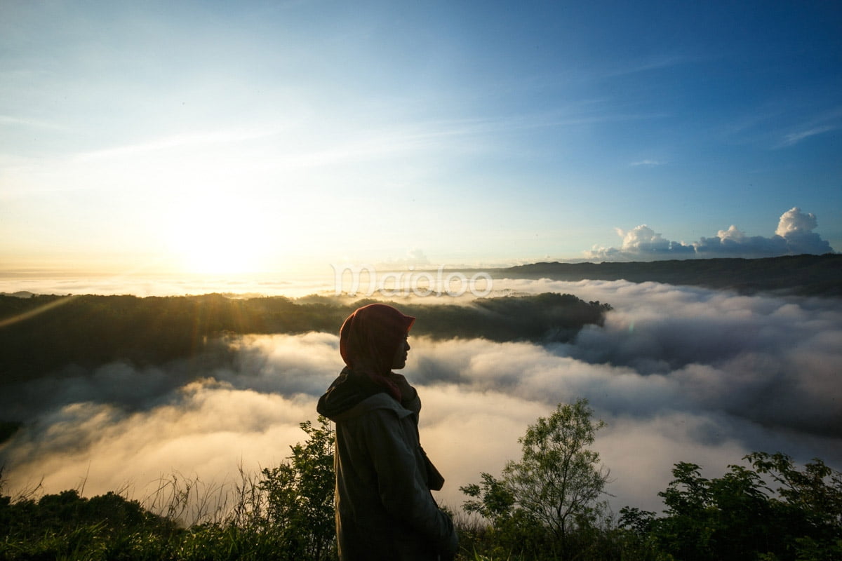 A person stands on a hill at Mangunan Fruit Garden, admiring the sea of clouds covering the valley below with the sunrise in the background.