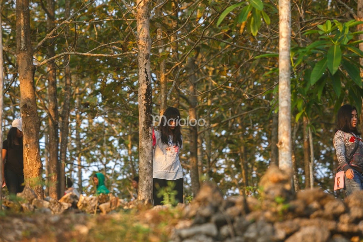 People walking through a forested area at Panguk Kediwung Hill.